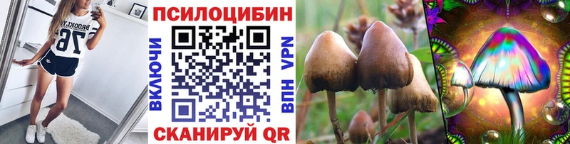 Псилоцибиновые грибы MAGIC MUSHROOMS  купить наркотик  kraken зеркало  Павлово 